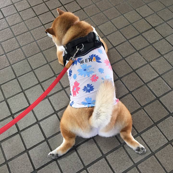 01e23472 34fb 4d0e 8ec2 4d9b8dd2f4e8 1593487167629