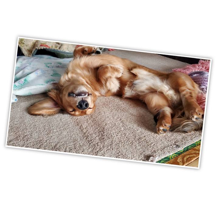 01e236d8 4714 4f68 aed3 dcc01419a97b 1773444313398