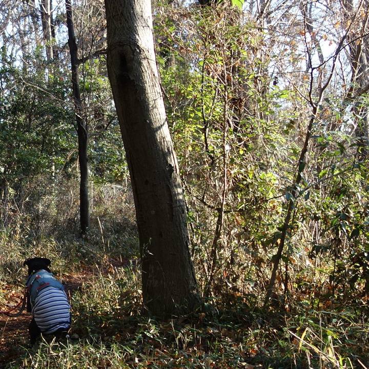 01e250c3 76e9 4418 8fa7 94f7c32e1bc2 1705884602229