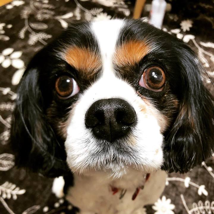 01e28749 0016 4f9a 86fc 69c27877e8e9 1586143433148