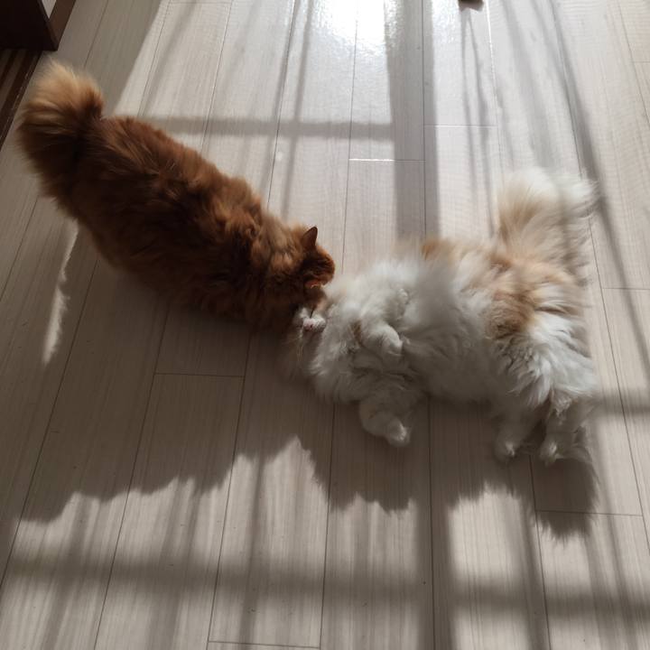 01e291a8 2028 43ec ae3e 493b16099e64 1510002546364