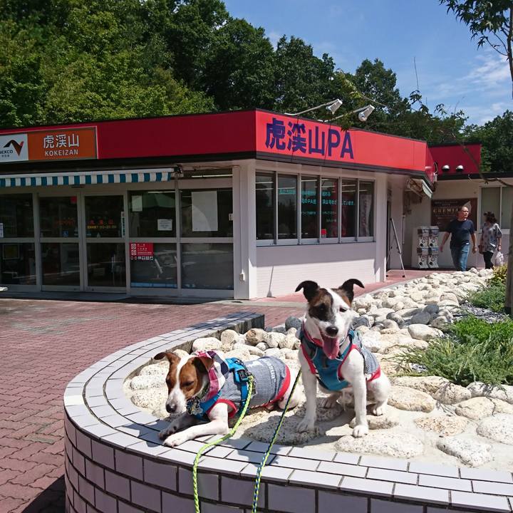 01e29711 7555 46c4 9dce db466febe4a4 1567391329761