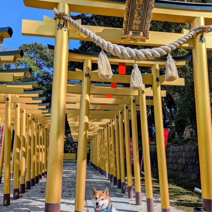 01e2ab0d 4f3b 40a2 ab16 dcd140f665cf 1757419676870