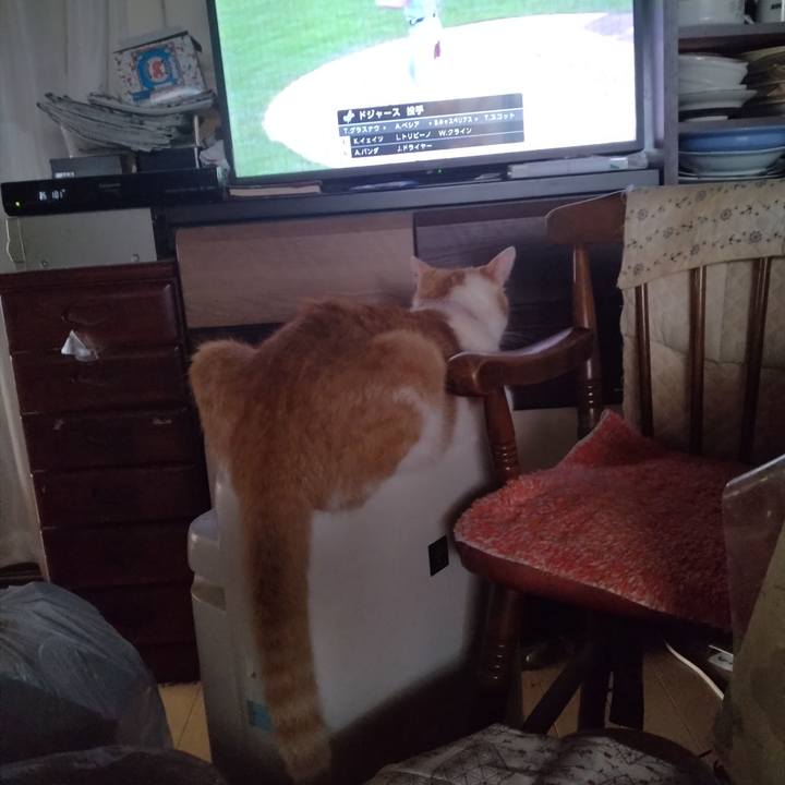 01e2b25c 6a86 4aa4 98a1 229a26aebb83 1752095287040