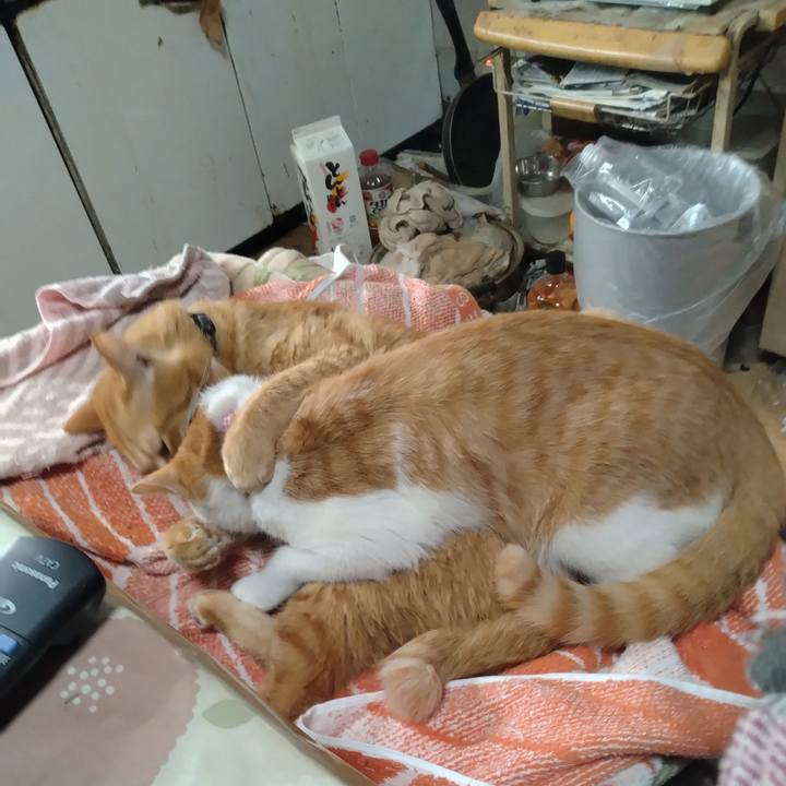 01e2c302 b9aa 4963 bdb2 bc23fcbb32d3 1740365636050