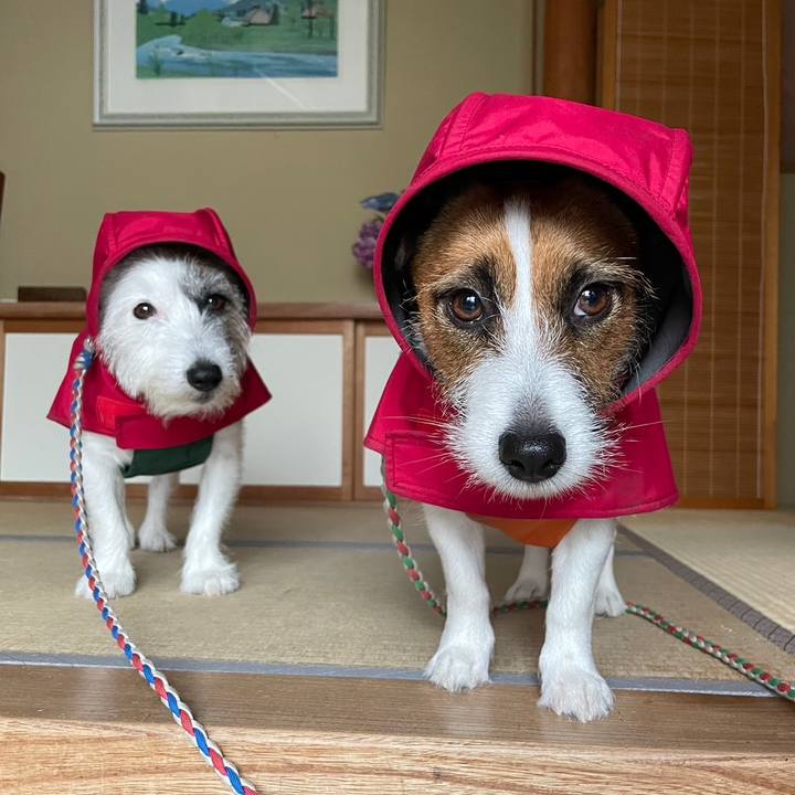 01e2ca7a dfd1 4da8 9a86 f86b051c14fe 1688198196597