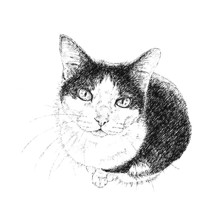 01e2f0d2 7ff0 48f6 82b0 2b7ce4c88d82 1611843681356