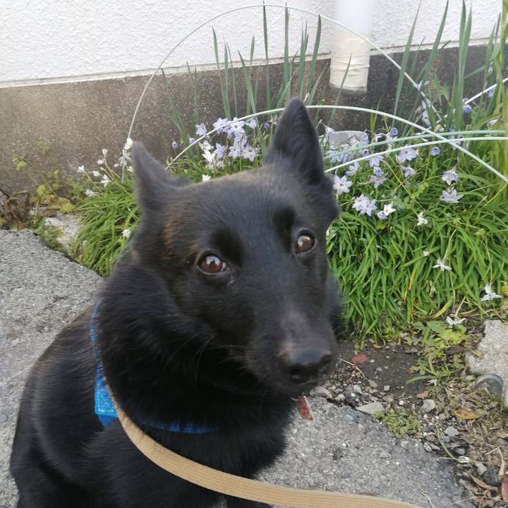 01e303c0 b6ff 4d06 ae61 b090a6c7eec7 1616535988068