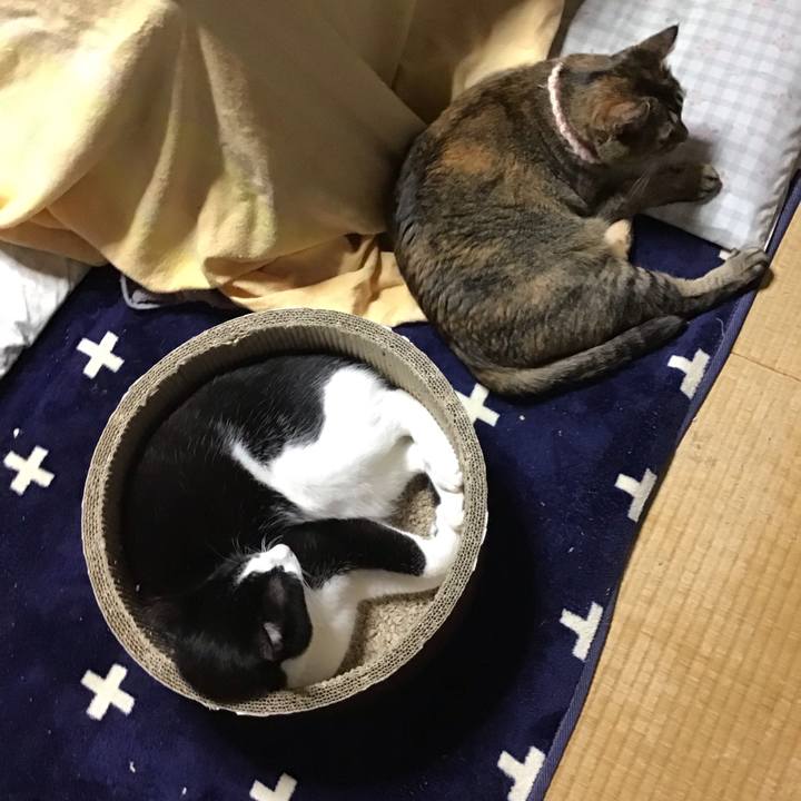 01e36a8c cf80 4090 80ab 765918de5199 1716637889185