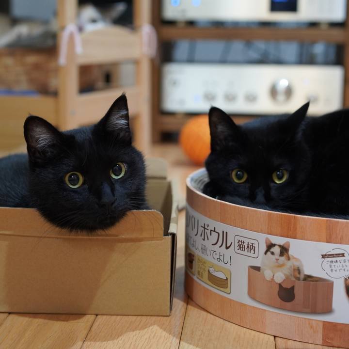 01e38b74 7e6b 4bba b0d0 e8dddeee9683 1623674380491