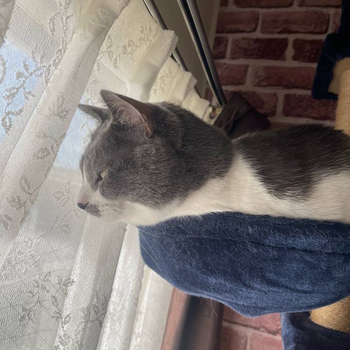 01e38d5c a8e1 4cdc 8dd9 c8ec69de8330 1699664020468