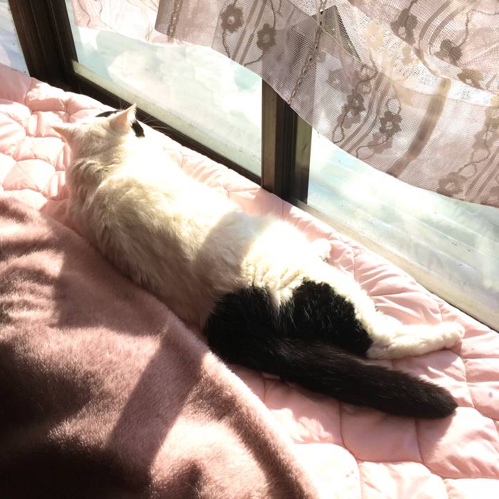 01e39b0c ba31 4328 a77c cb7a9b9476be 1576902819221