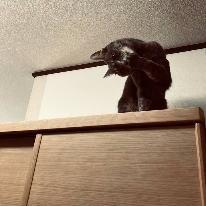 01e3a2ff 822f 4905 bd9c 58742e35f40b 1603530626654