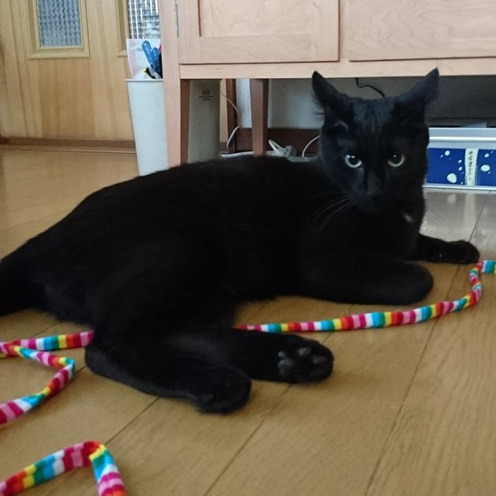 01e3cb84 52bc 4b62 b2ba c6d77afd712f 1525043224673