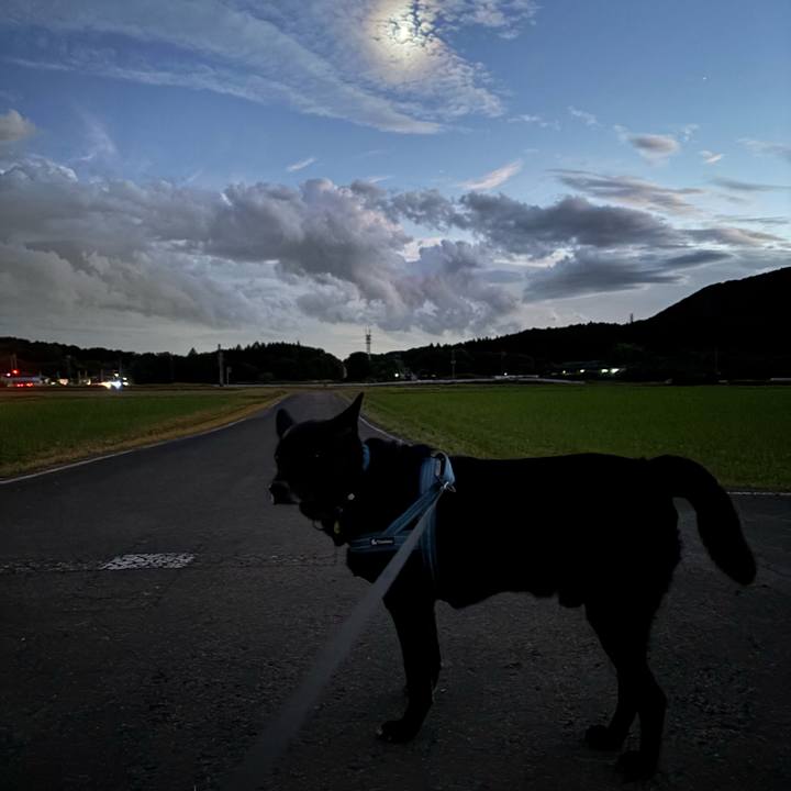 01e3cb8a da17 4ff8 9a79 3f35a1f533a9 1759137164924