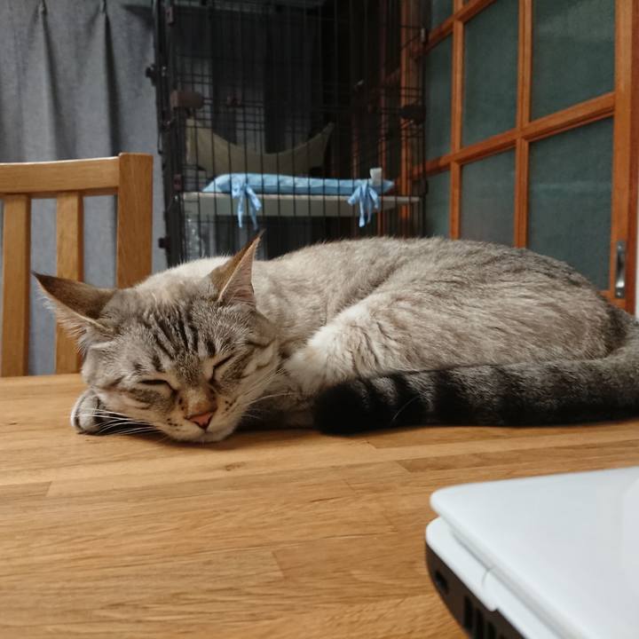 01e3d4e2 8fec 4202 b04f 3d6db2da57ce 1528544059814