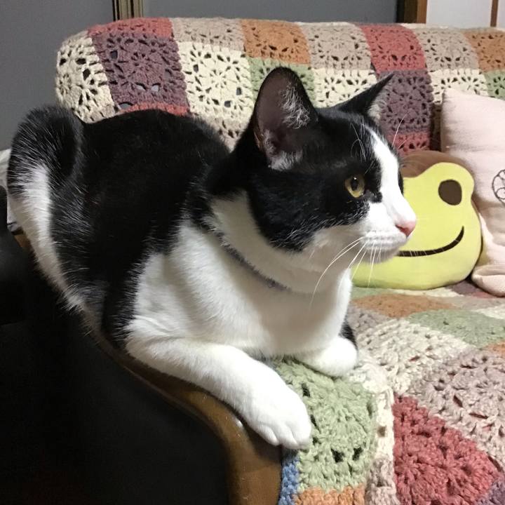 01e468e5 ac97 48a4 a030 8dd4a7ac7a2f 1643967759984