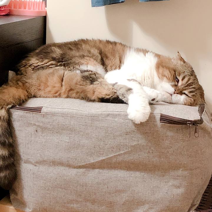 01e48137 75c4 4c54 ab92 e1ab3828750d 1562775003728