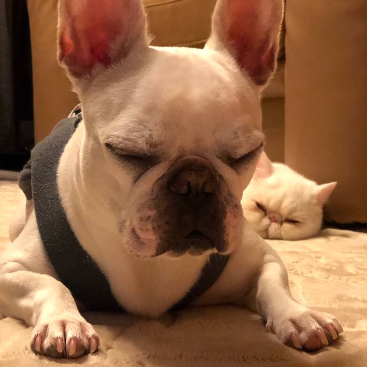 01e484b3 c1f6 4a1b 9105 f752fb38445b 1563892027475