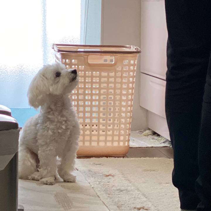 01e48803 51b5 466f b66c b11ce3b1a19a 1588315368423