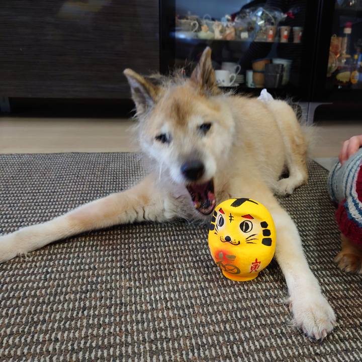 01e494c0 eb65 4ad9 a4e8 95aa07bc4891 1641706942107