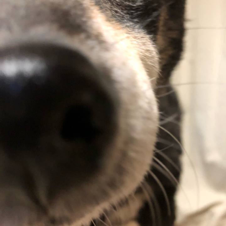 01e4a1c4 422b 4a7c ade7 f0e4f93ddadb 1580971401473