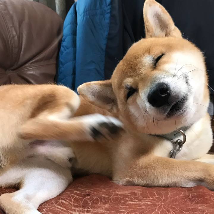 01e4c999 51f1 4d17 96e8 febec32acb90 1602803773975