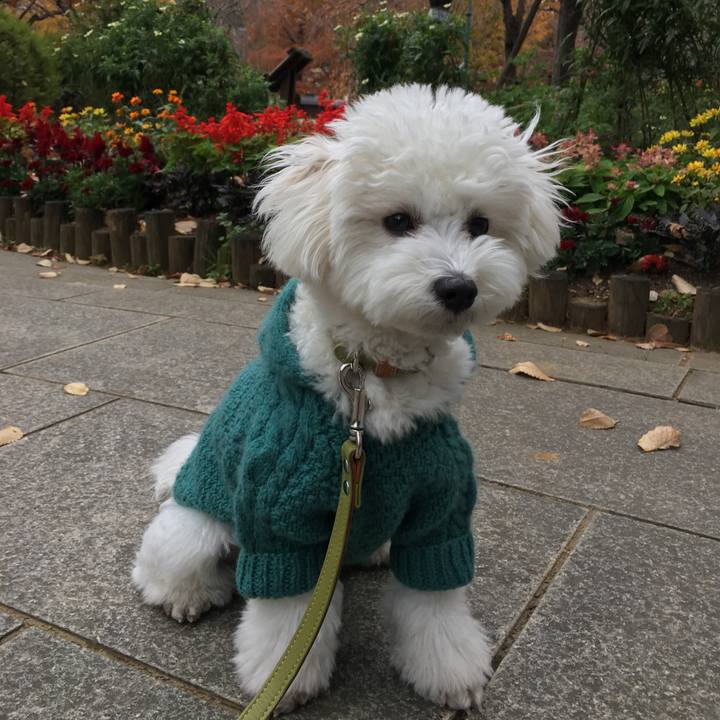 01e501b8 9c24 4919 b2d0 e72e938ed997 1512015244497