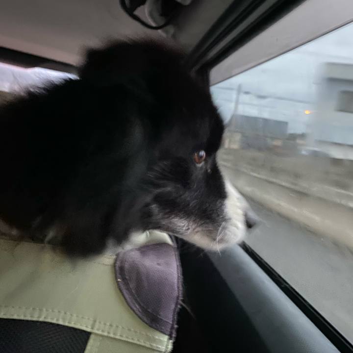 01e52df4 7d80 4573 bbb3 bee204b5c4c7 1673734993231