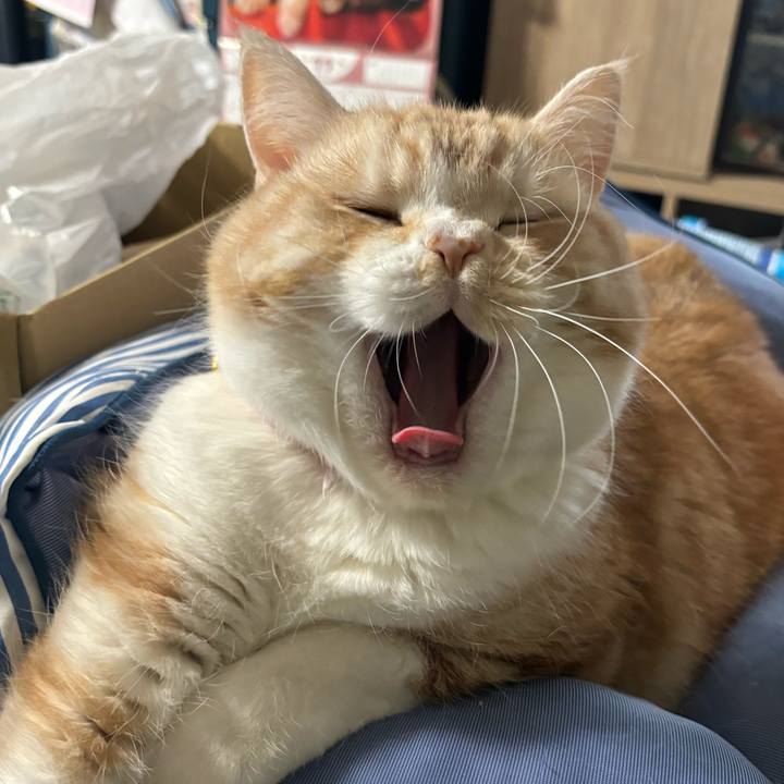 01e57381 78c8 4b99 a43c b2f095237c08 1732091917199