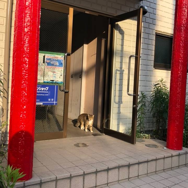 01e5974c f880 4de7 a7d5 4118077a075f 1558188766357