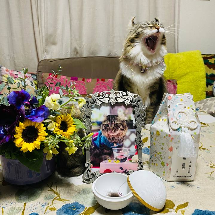 01e5ab02 cb00 4353 8487 f5863131165c 1610463769593