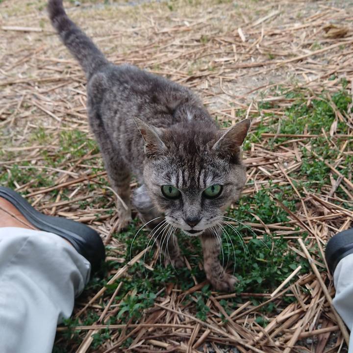 01e5d371 c832 4daf 91bf fca606e7a3d8 1592470499097