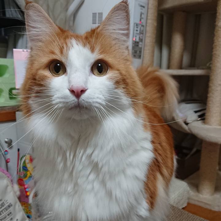 01e5ed83 ecca 4987 9526 48c283bbb03b 1579334998130