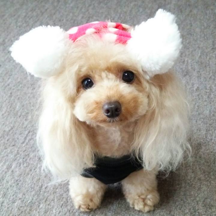 01e5ff07 10cc 430a b492 390cce784fbb 1536838208200