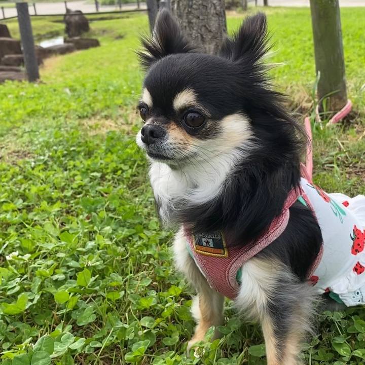 01e6079e 5750 48f0 9596 bc933b452e93 1622160317782