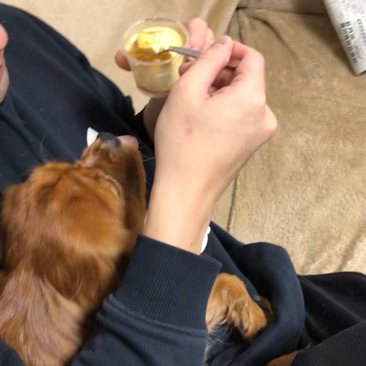 01e62f7a d393 4213 9b52 e3e5759f5ee9 1577312582480