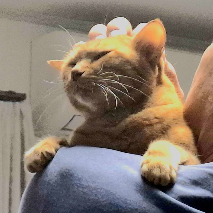 01e647ce 48a8 42cb 9a8f 6ccfcae80088 1733098338738