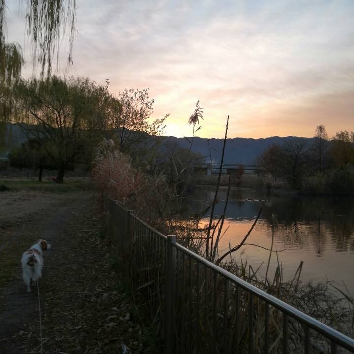 01e694c6 b6c6 4235 a2a7 e2f5fcf8d937 1608939525047