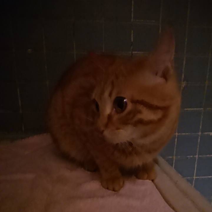 01e6f3b4 90bf 4c03 81e4 a41a35ce28b6 1646482964791