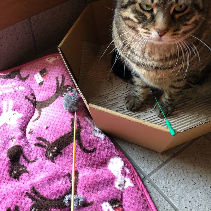 01e76b7a 2074 47ba 8e6b 12a97372f369 1546674240216