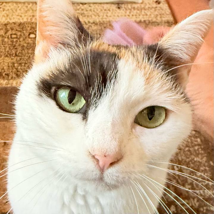 01e78d3a 9595 4a90 a48f 70bc40728290 1738635847271