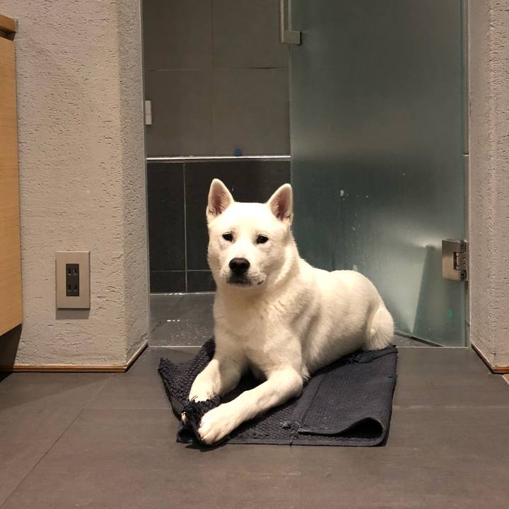 01e7b2e2 08e5 4c23 9604 45c97a75cc96 1525134728898