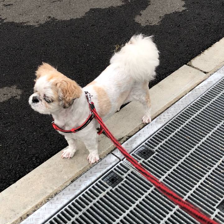 01e7b61f 3360 47c4 887a 9820a7377fe1 1592516925236