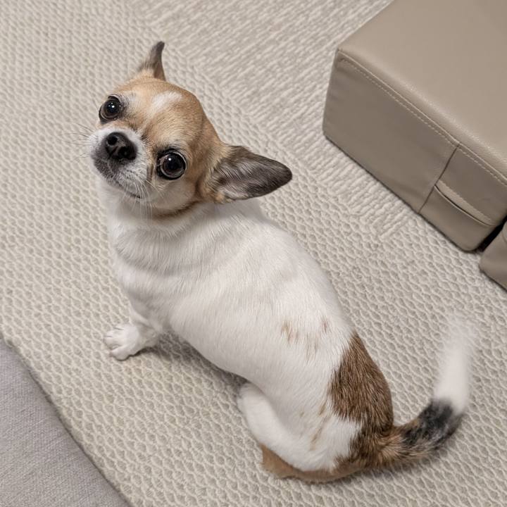 01e83ebf 9718 4208 a0e6 7ad9c19dad14 1733143335561