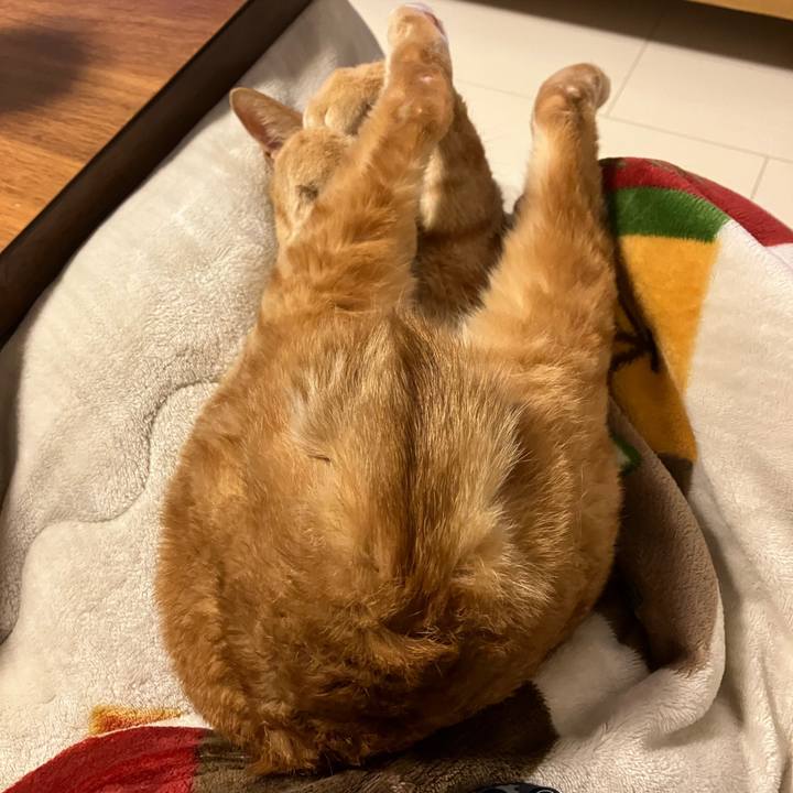 01e87d8d f25b 4bfc 8971 296d31e735ae 1773933966608