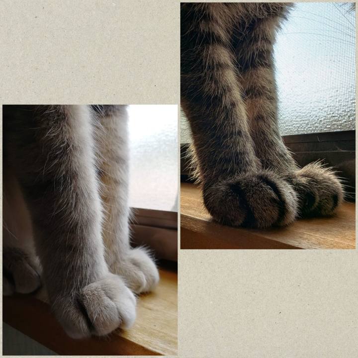 01e898d2 d47b 450b ab9b 58c1fce40ffd 1763531632090