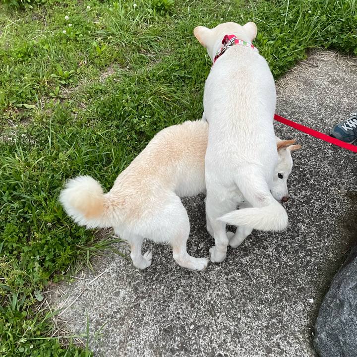 01e8c5b2 6cf0 446b af9d 1860bb2e2898 1650888421918