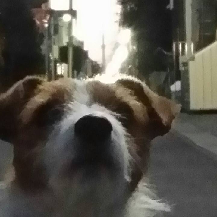 01e8d48b 6dc7 4073 b062 416d9f760008 1515016131447