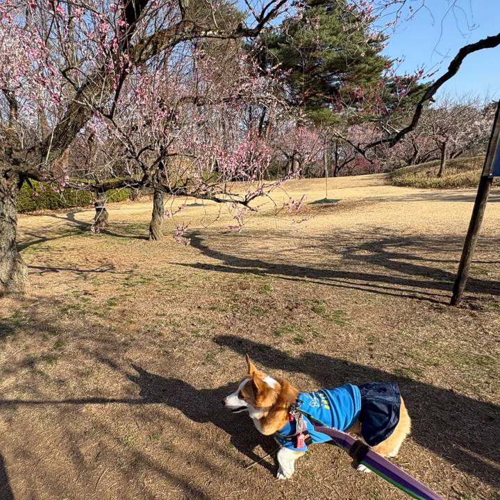 01e8dbf1 fa38 4678 9e10 e0fb62023659 1771842927381